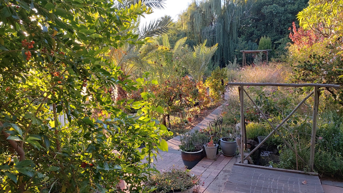 LH garden 20220426_074857